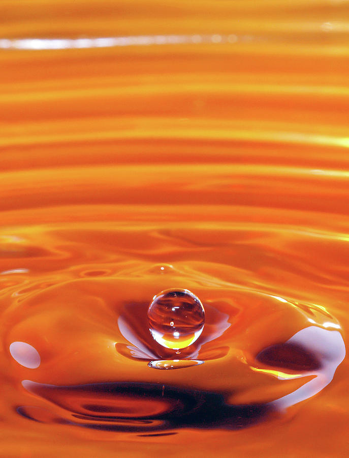 Orange Delight by Jonny Jelinek Orange Delight by Jonny Jelinek