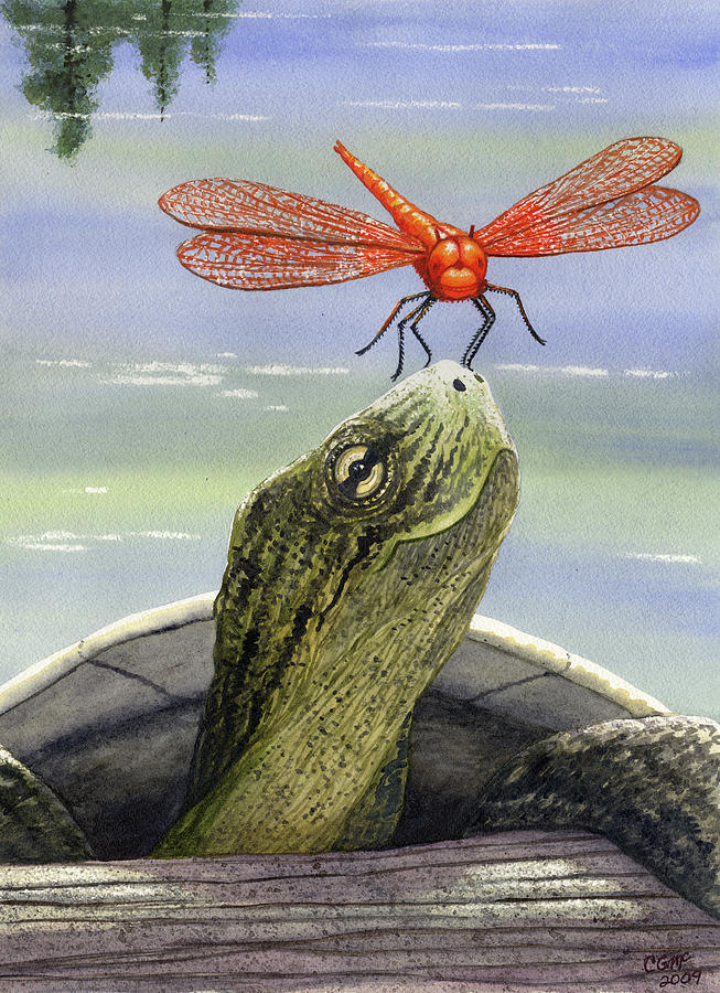 Turtle Painting - Orange Dragonfly by Catherine G McElroy