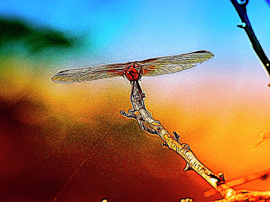Orange DragonFly Wings I  Abstract  Digital Art by Linda Brody