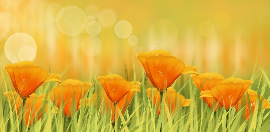 Poppy Painting - Orange field by Veronica Minozzi