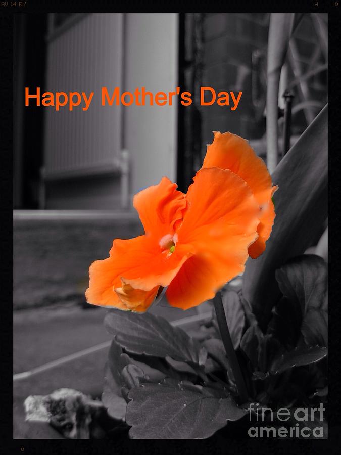 Orange Flame Mothers Day Greeting Photograph by Joan-Violet Stretch