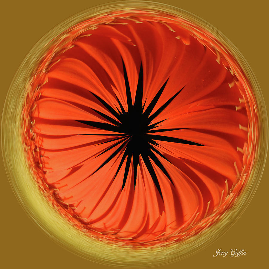 Orange Flames Digital Art by Jerry Griffin