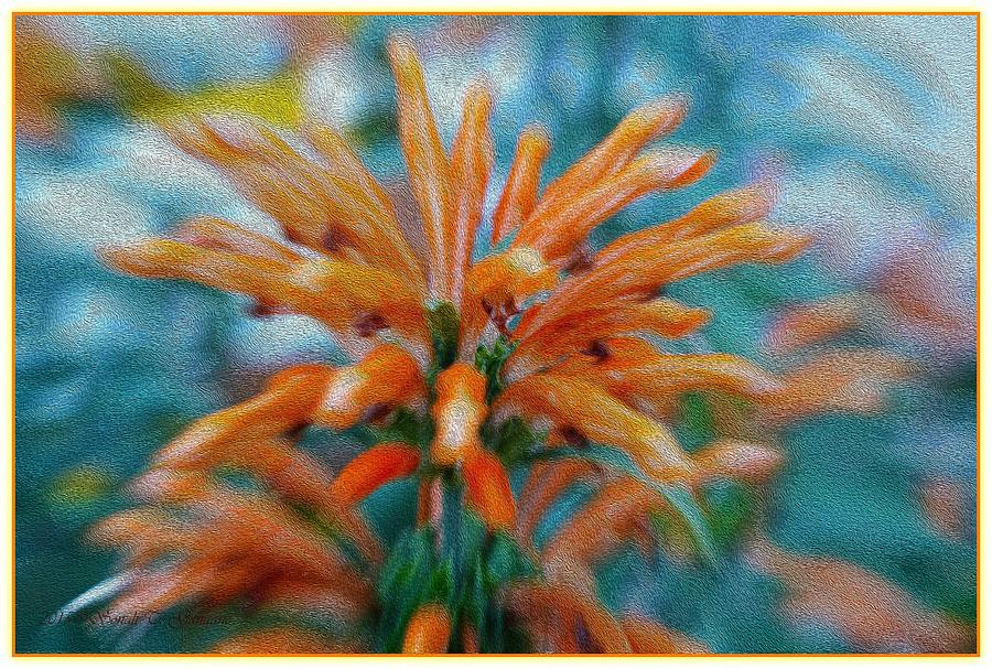 Orange Floral burst Digital Art by Sonali Gangane