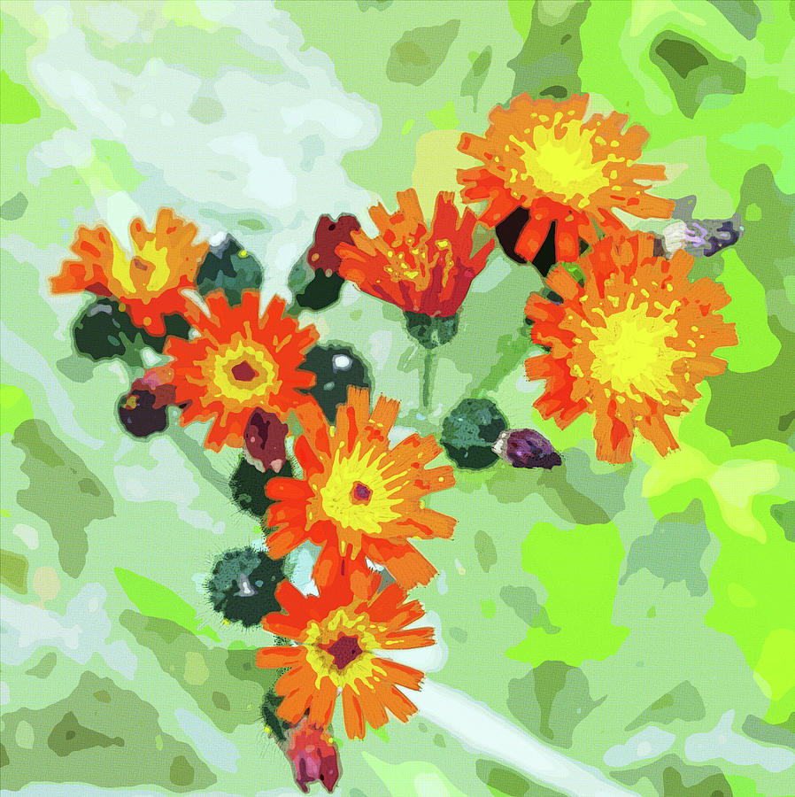 Orange Floral Halftone Photograph by Cathy Mahnke