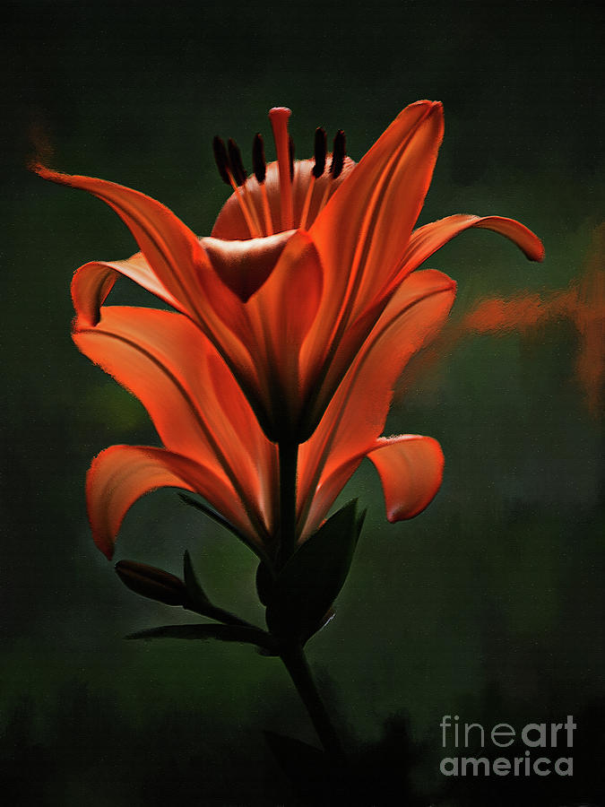 Orange Flower 0321 Painting by Gull G