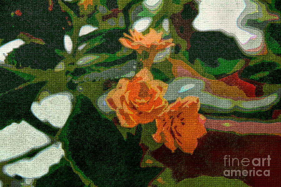 Abstract Photograph - Orange Flower Abstract by William Tasker