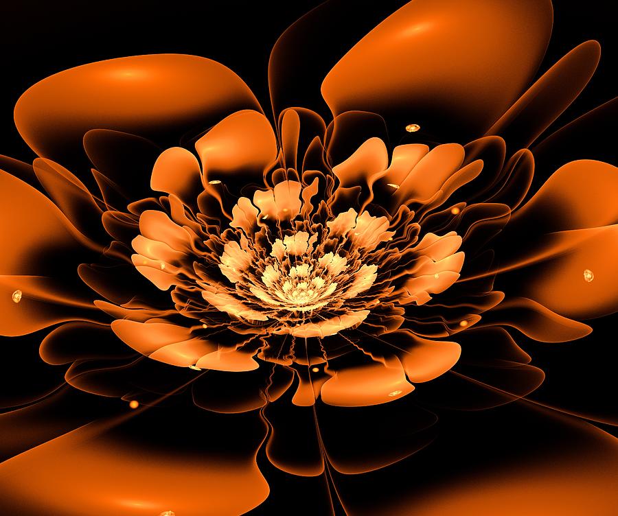 Flower Digital Art - Orange Flower  by Anastasiya Malakhova