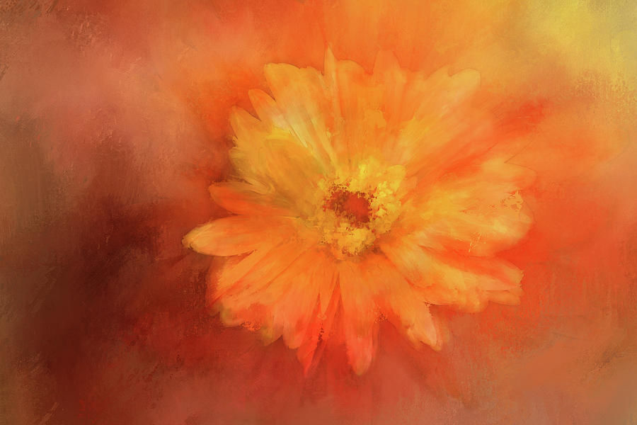 Orange Flower Energy Digital Art by Terry Davis