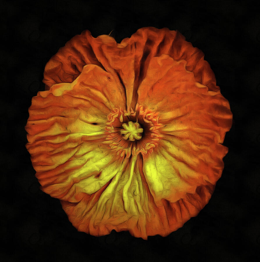 Orange flower painting Neo Rembrandt style Photograph by Matthias Hauser
