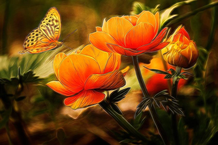 Orange flowers and butterfly Digital Art by Lilia D