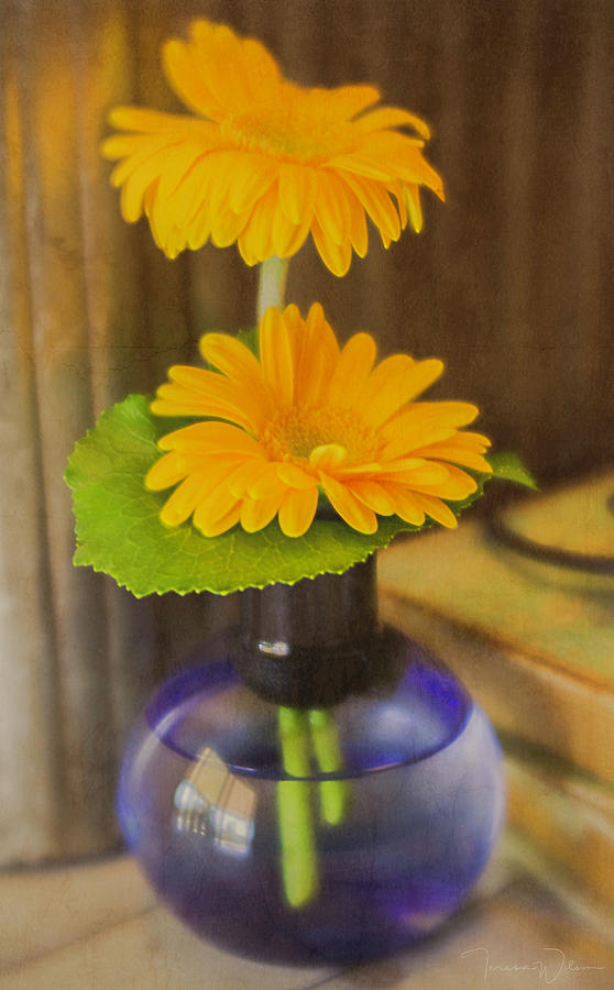 Orange Flowers Blue Vase Photograph by Teresa Wilson