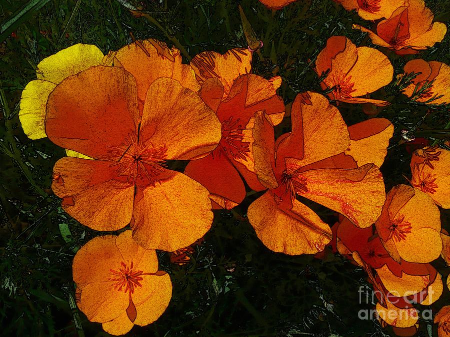 Orange Flowers Photograph by Jean Bernard Roussilhe