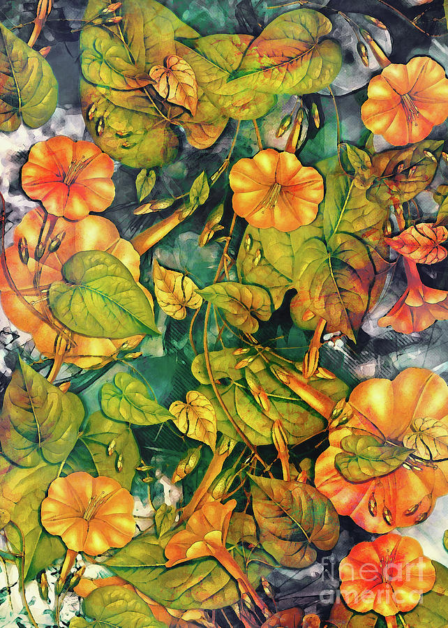 Orange Flowers Digital Art