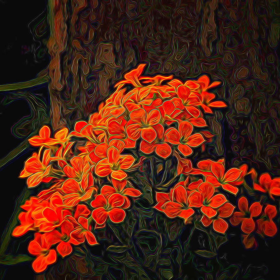 Orange Flowers Painted Photograph by Judy Vincent