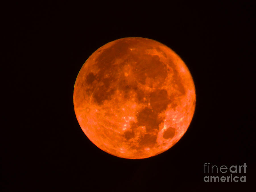 Orange Full Moon Photograph by D Hackett