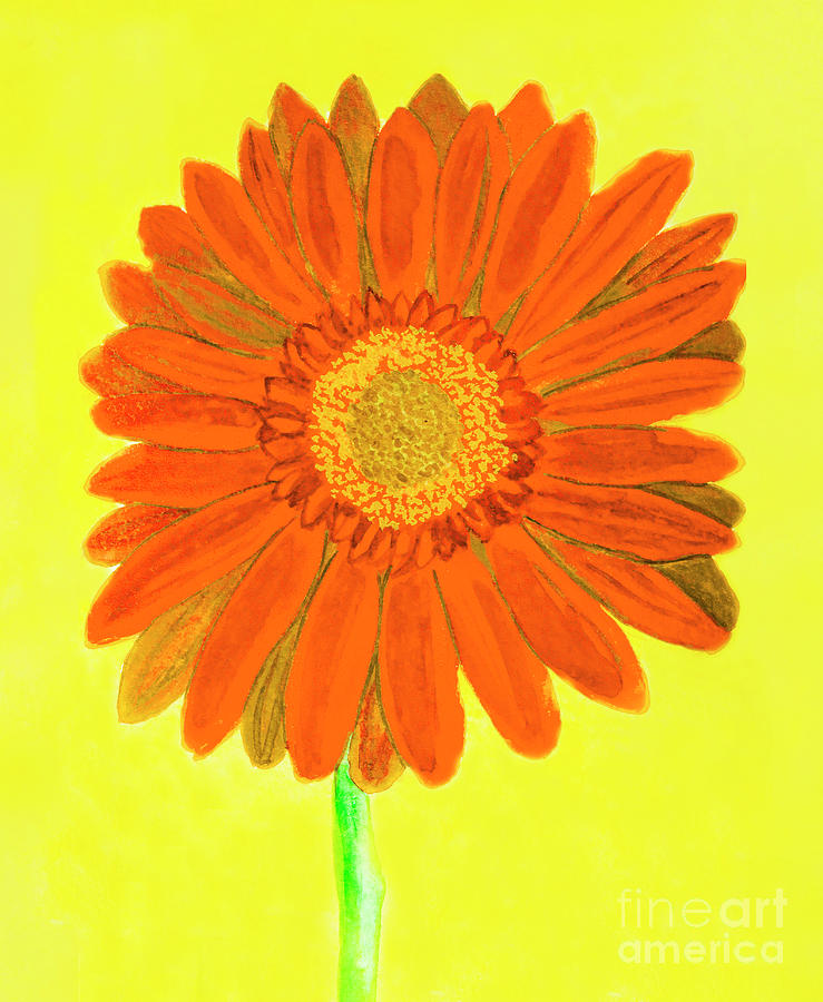 Orange gerbera on yellow, watercolor Painting by Irina Afonskaya