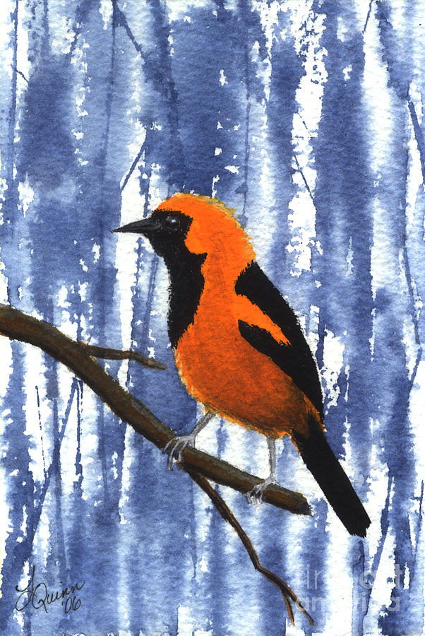 Orange-headed Oriole Painting by Lynn Quinn