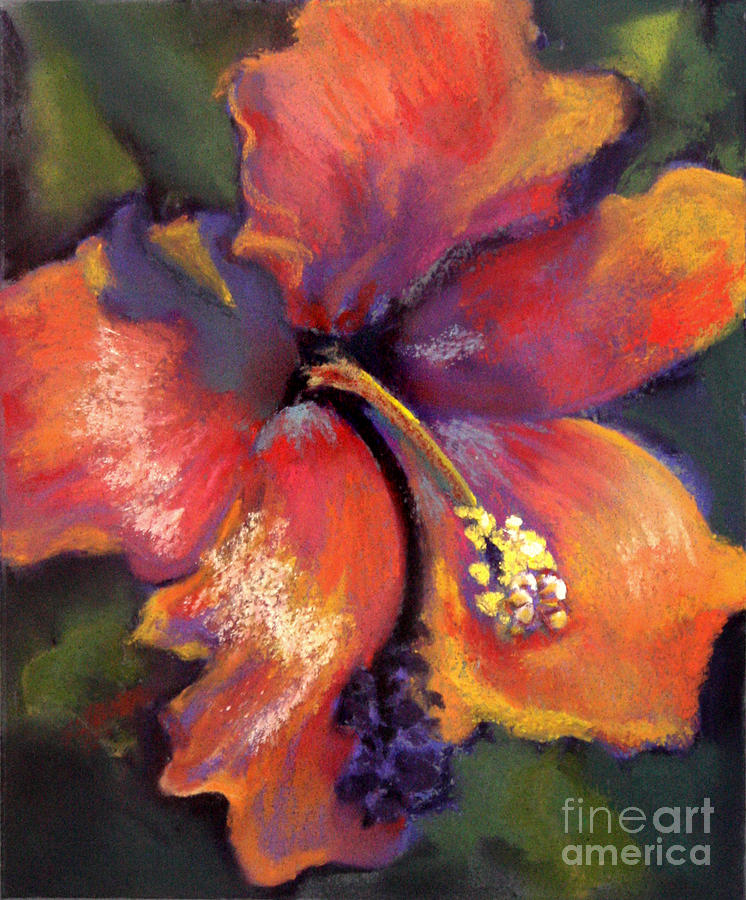 Hibiscus Pastel - Orange Hibiscus by Cheryl Yellowhawk Hibiscus Pastel - Orange Hibiscus by Cheryl Yellowhawk