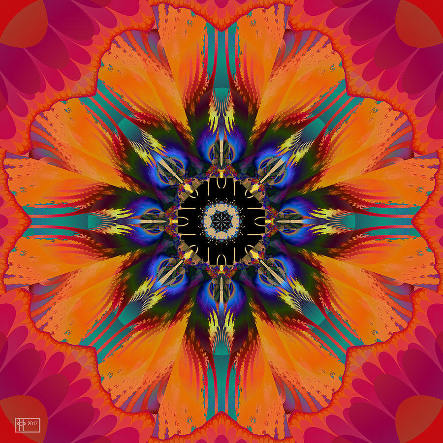Orange Hibiscus Digital Art by Jim Pavelle