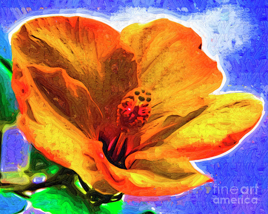 Orange Hibiscus Digital Art by Kirt Tisdale