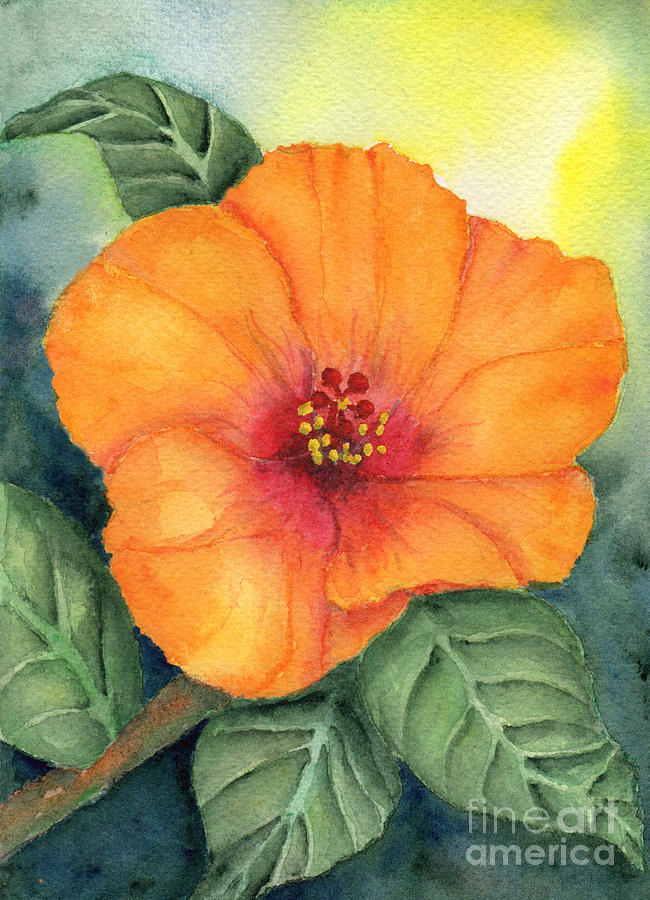 Orange Hibisus by Elizabeth Oertel Orange Hibisus by Elizabeth Oertel