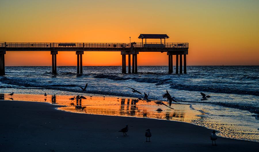 Orange in the Morning in Orange Beach Photograph by Michael Thomas