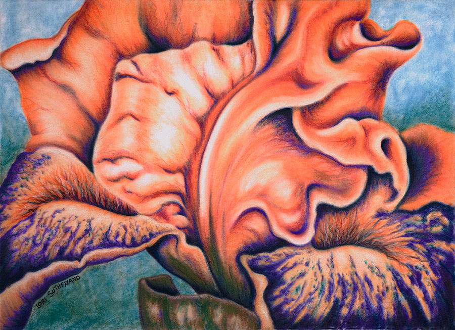 Orange Iris Painting by Lori Sutherland