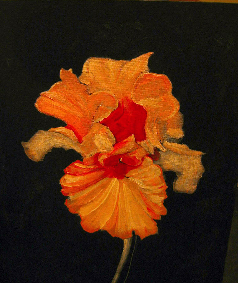Orange Iris Painting by Richard Le Page
