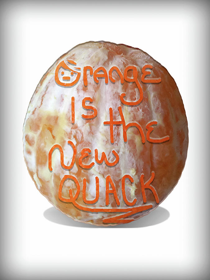 Orange Is the New QUACK Mixed Media by Susan Maxwell Schmidt