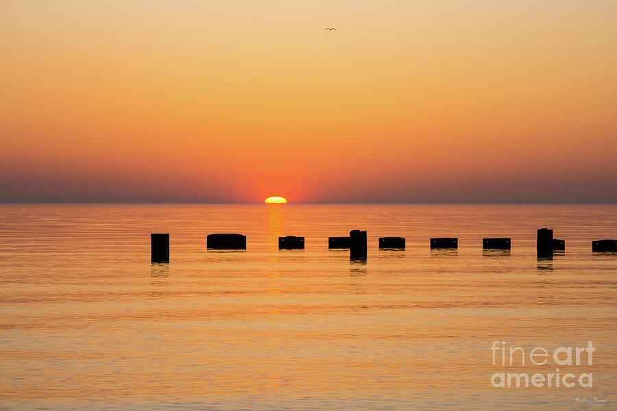 Orange Lake Sunrise Photograph by Jennifer White