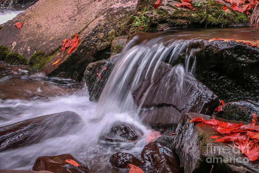 Orange Leaf Falls Photograph by Tom Claud