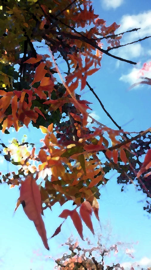 Orange Leaves Blue Sky Digital Art by Eric Forster