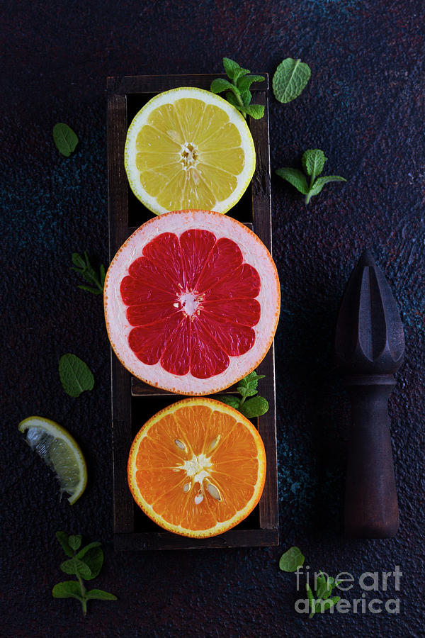 Orange, Lemon and Grapefruit Photograph by Anastasy Yarmolovich