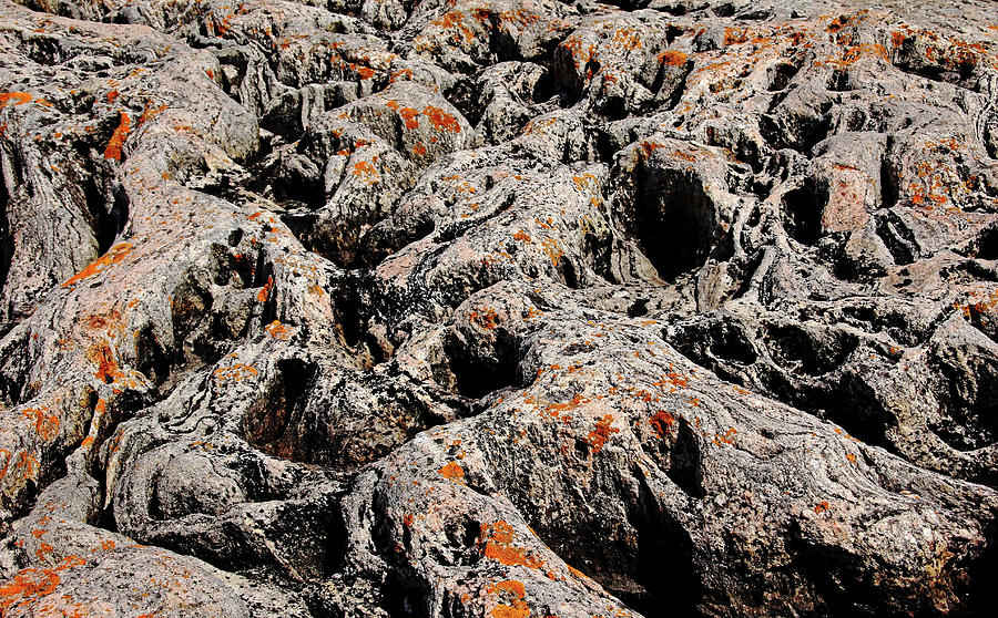 Orange Lichen On Rocky Ridges Photograph by Debbie Oppermann