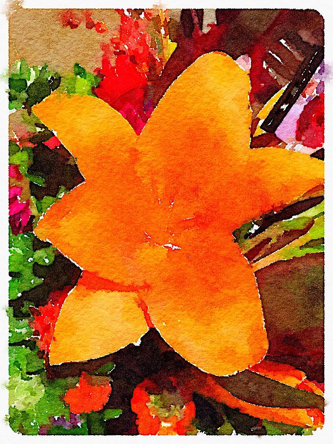 Orange Lily Digital Art by Shannon Grissom