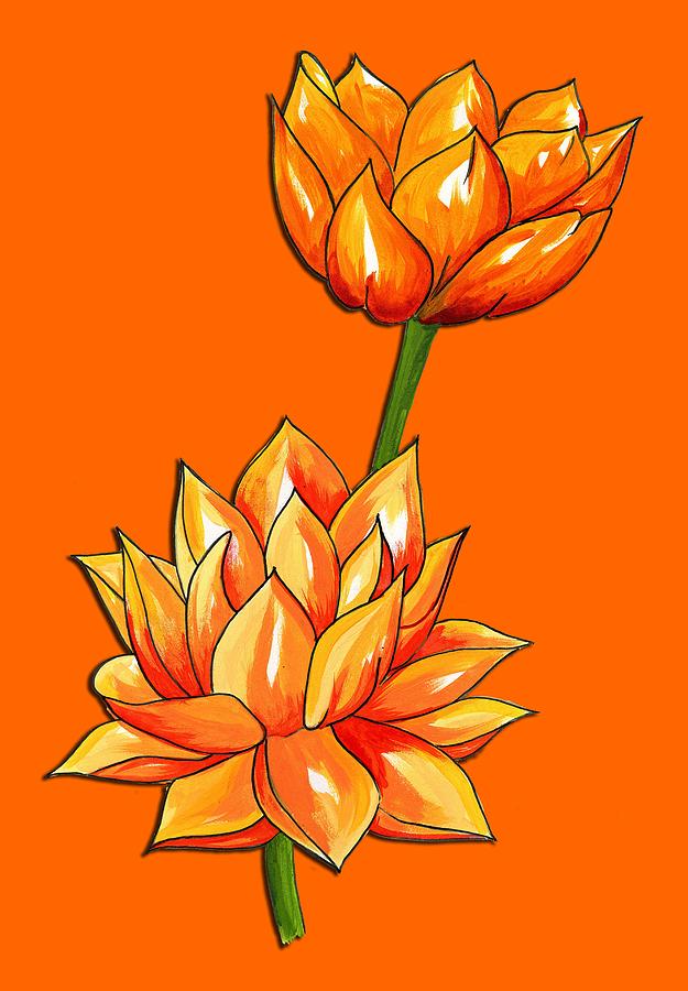orange lotus flower