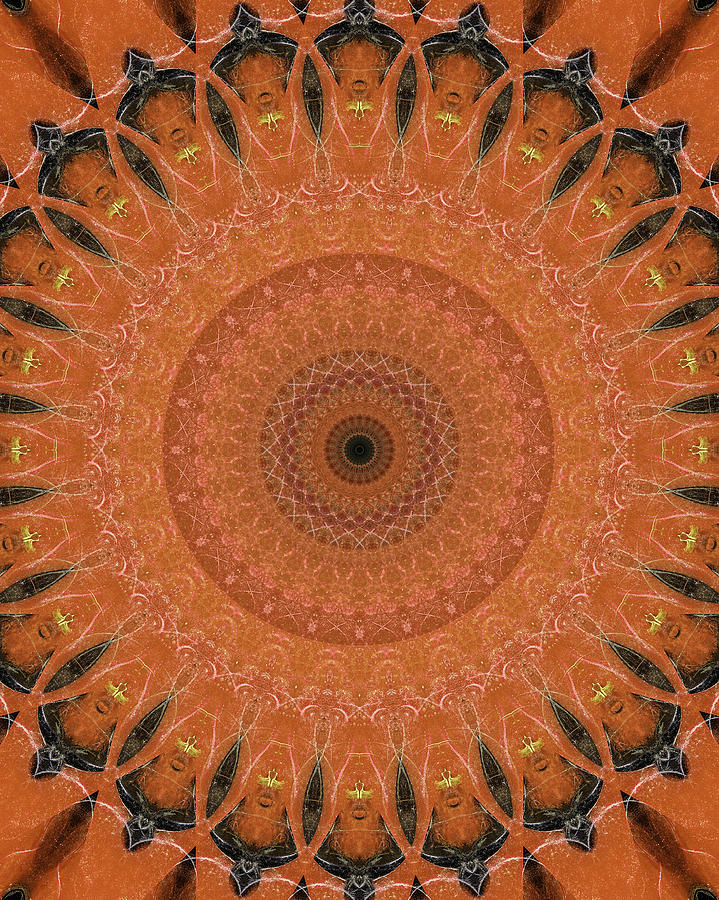 Orange mandala Digital Art by Jaroslaw Blaminsky