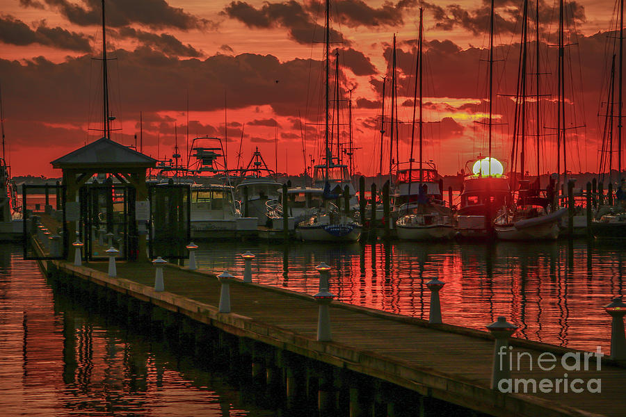 Orange Marina Sunrise Photograph by Tom Claud