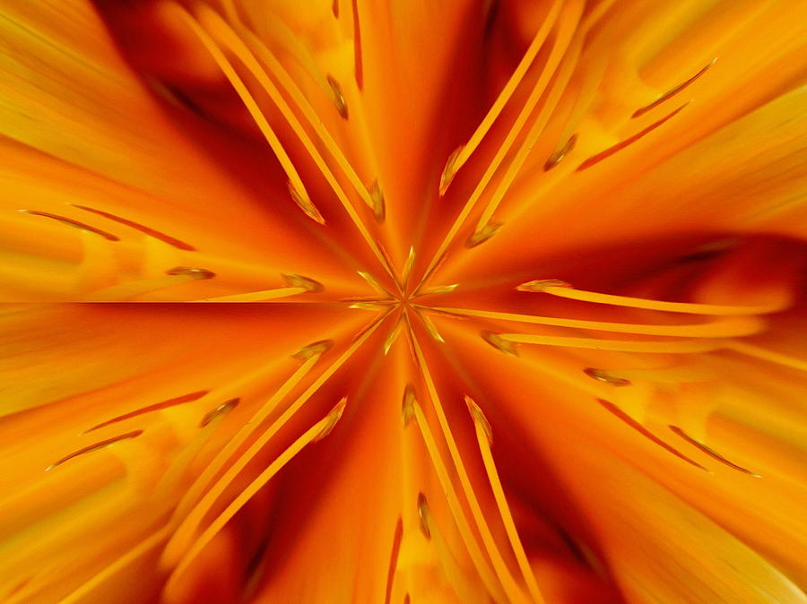 Abstract Photograph - Orange Marmalade by David Dunham
