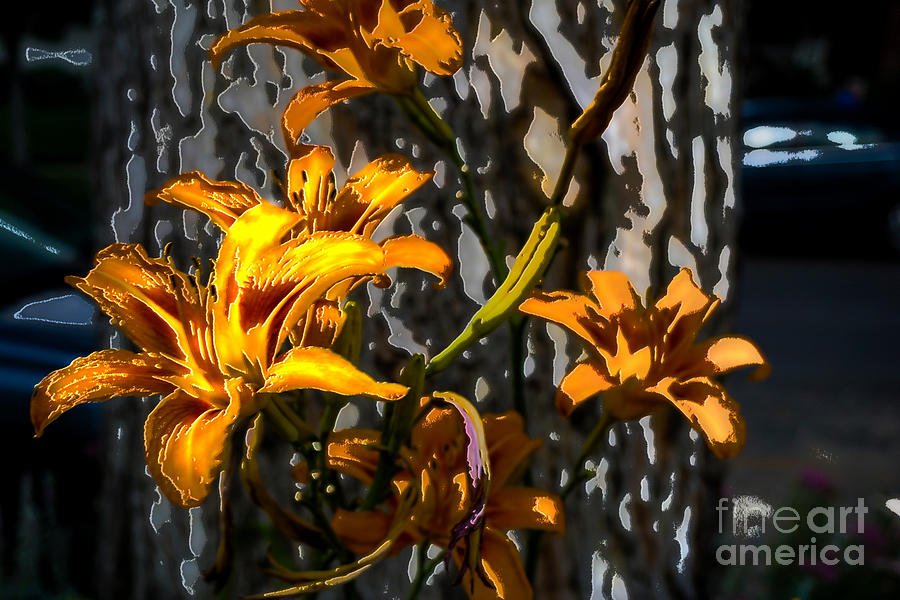 Orange metal lily Digital Art by Deb Nakano