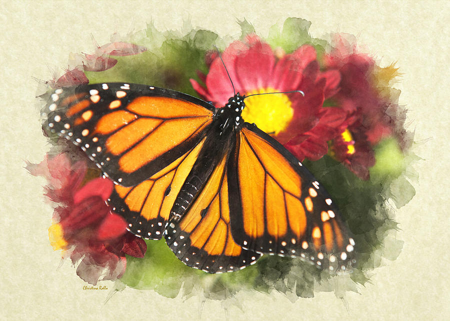 Note Card Monarch Butterfly Mixed Media by Christina Rollo