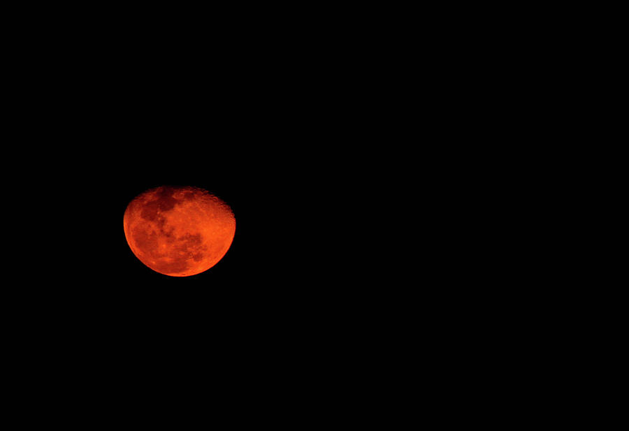 Orange Moon Photograph