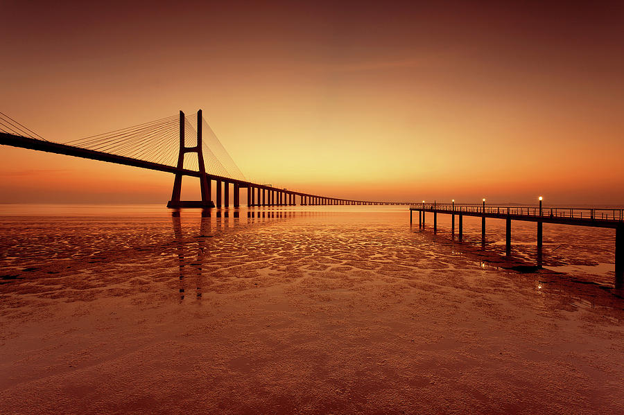 Bridge Photograph - Orange  by Jorge Maia