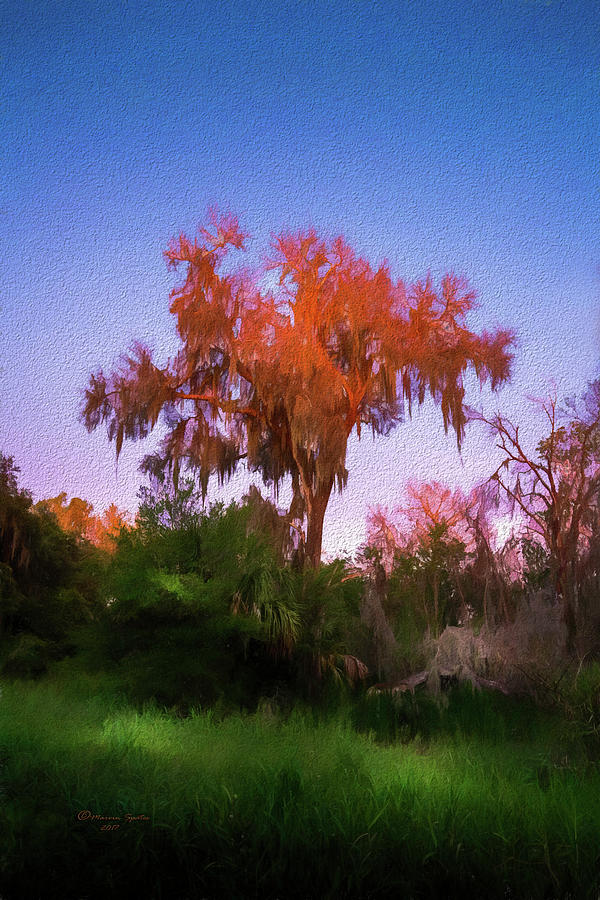 Orange Oak Photograph by Marvin Spates