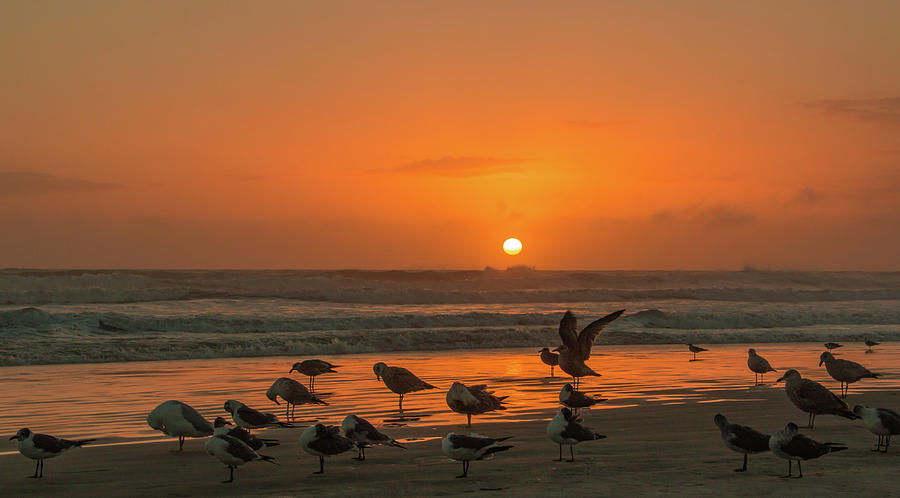 Orange Ocean Morning Photograph