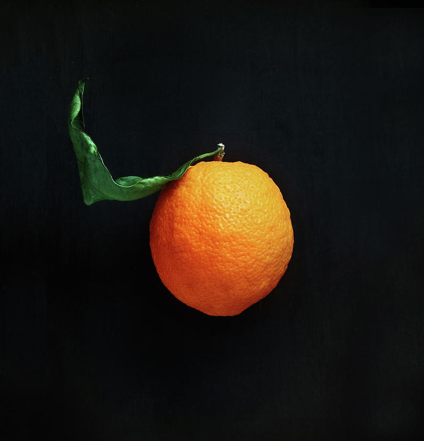 Orange On Dark Background. Photograph