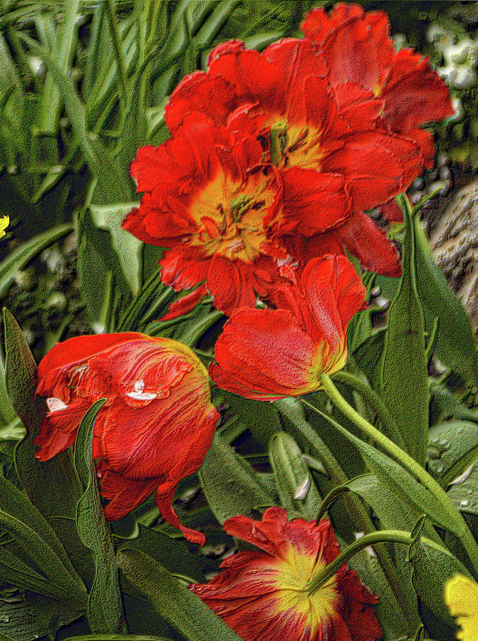 Orange Parrot Tulips Photograph by Nadalyn Larsen
