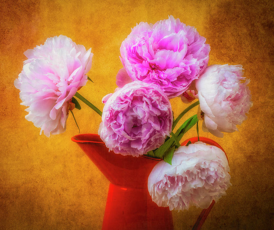 Orange Pitcher And Peonies Photograph by Garry Gay