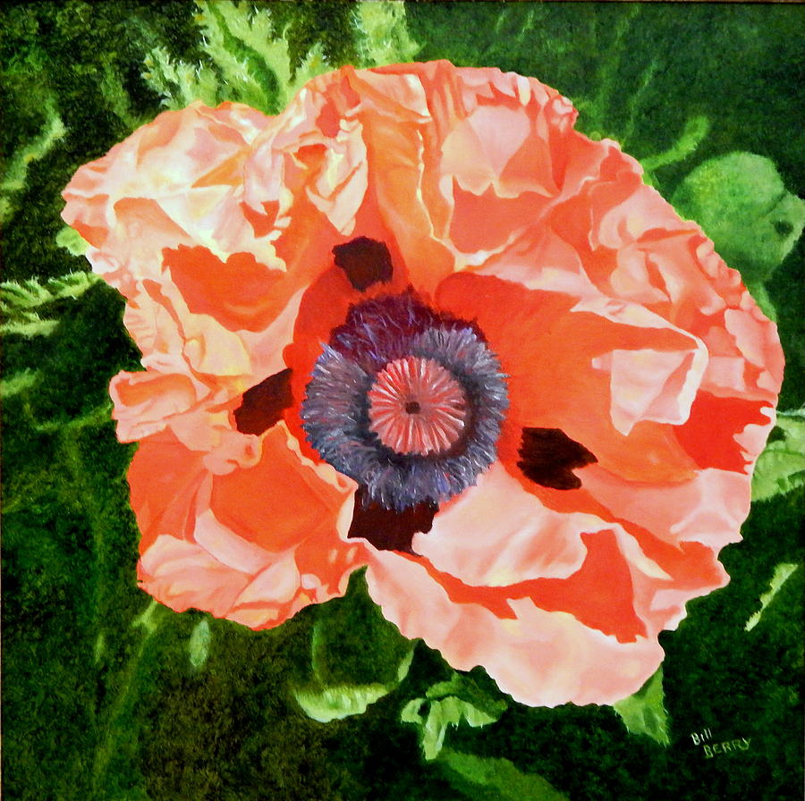 Orange Poppy Painting by Bill Berry Fine Art America