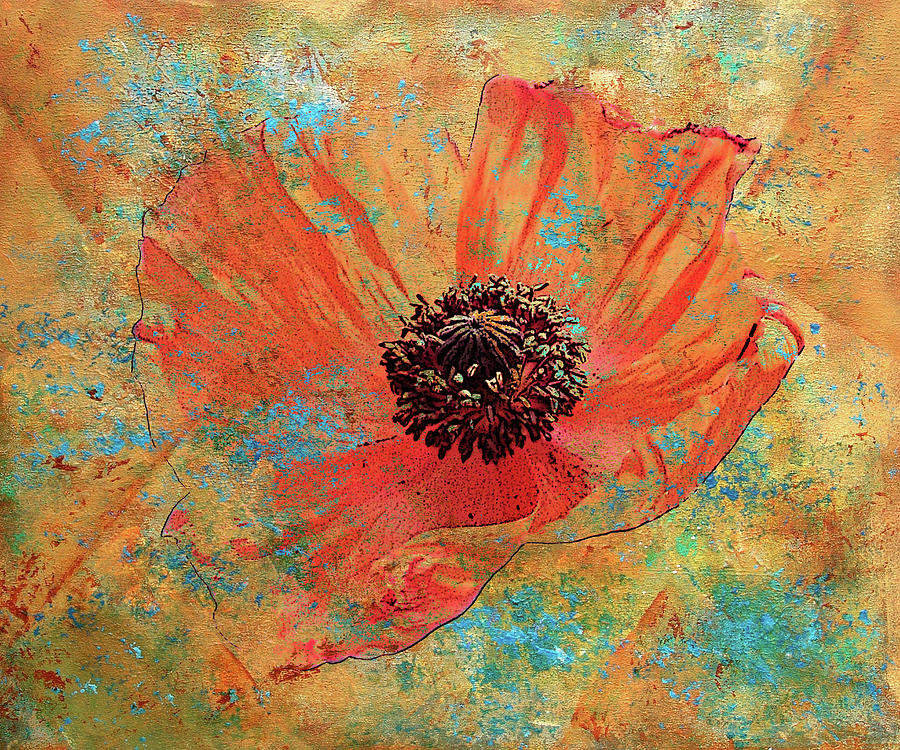 Orange Poppy Digital Art by Catherine Jeltes